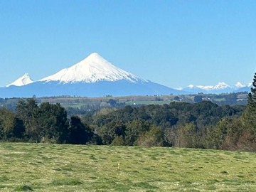 Venta / Terreno / Puerto Varas