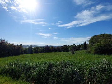Venta / Terreno / Puerto Varas