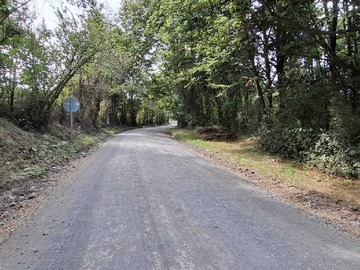 Venta / Terreno / Puerto Varas