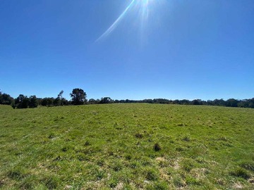 Venta / Terreno / Puerto Varas