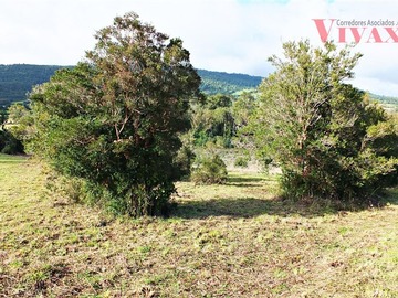 Imagen 28