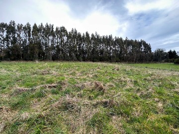 Venta / Terreno / Puerto Varas