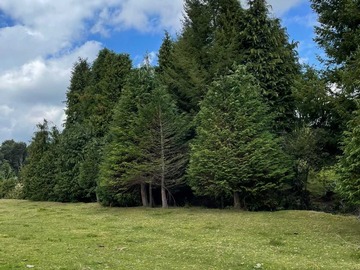 Venta / Terreno / Puerto Varas