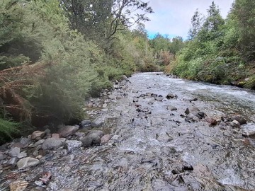 Venta / Terreno / Puerto Varas