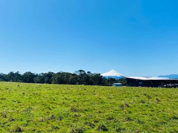 Venta / Terreno / Puerto Varas