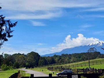 Venta / Terreno / Puerto Varas