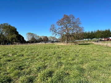 Venta / Terreno / Puerto Varas