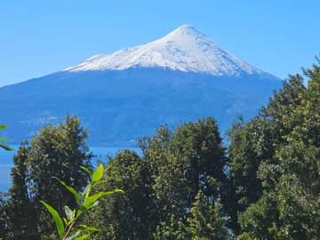 Venta / Terreno / Puerto Varas