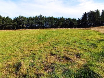 Venta / Terreno / Puerto Varas