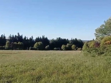 Venta / Terreno / Puerto Varas