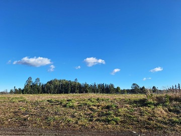 Venta / Terreno / Puerto Varas