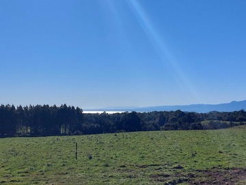 Venta / Terreno / Puerto Varas