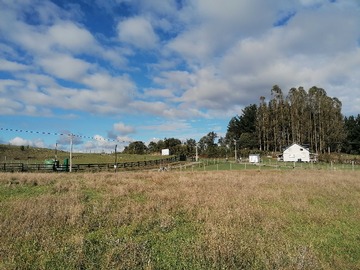 Venta / Terreno / Puerto Varas