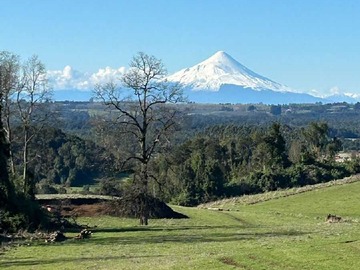 Venta / Terreno / Puerto Varas