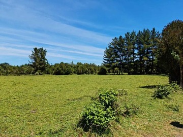 Venta / Terreno / Puerto Varas