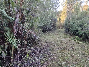 Venta / Terreno / Puerto Varas