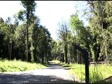 Venta / Terreno / Puerto Varas