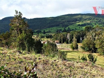 Imagen 4