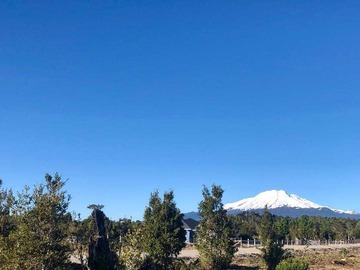 Venta / Terreno / Puerto Varas