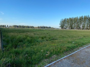 Venta / Terreno / Puerto Varas