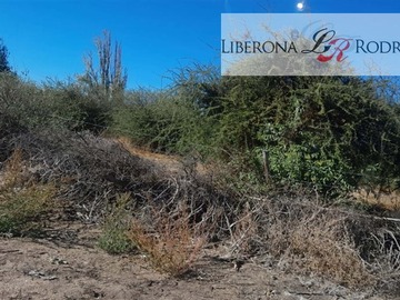 Imagen 7