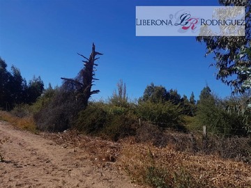 Imagen 9