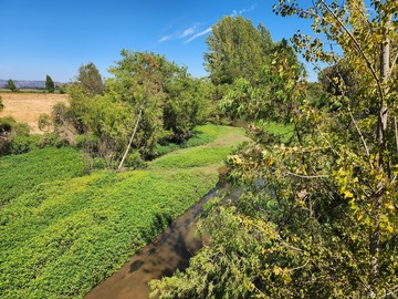 Venta / Terreno / Pumanque