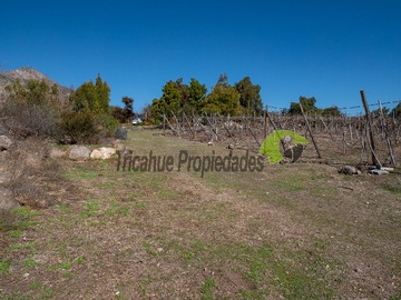 Imagen 16