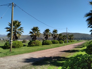 Imagen 5