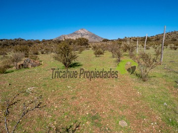 Imagen 12