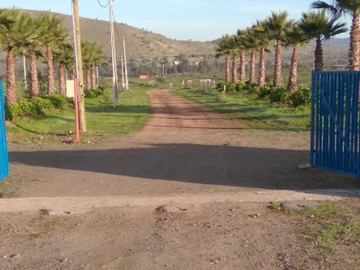 Imagen 11