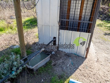 Imagen 8