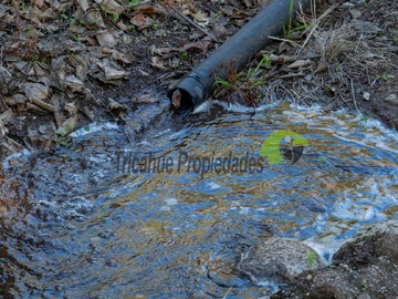 Imagen 6