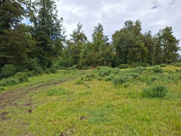 Venta / Terreno / Puqueldón