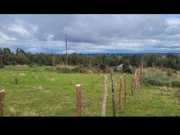 Venta / Terreno / Puqueldón