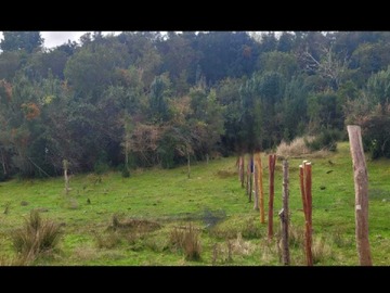 Imagen 10