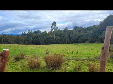 Venta / Terreno / Puqueldón