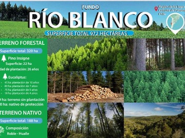 Venta / Terreno / Purranque