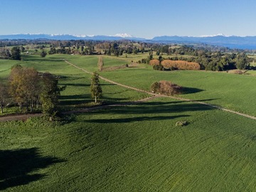 Venta / Terreno / Puyehue