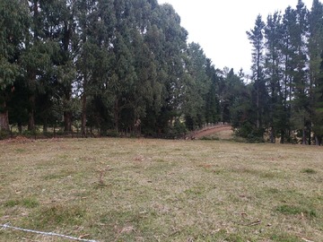 Venta / Terreno / Puyehue