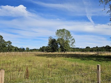 Venta / Terreno / Puyehue