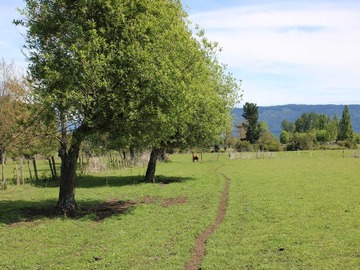 Venta / Terreno / Puyehue