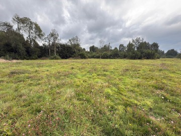 Venta / Terreno / Puyehue