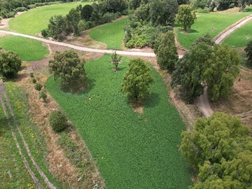 Venta / Terreno / Puyehue