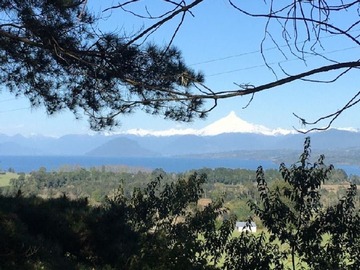 Venta / Terreno / Puyehue