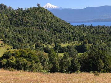 Venta / Terreno / Puyehue
