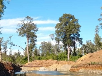 Venta / Terreno / Puyehue