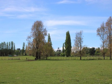 Venta / Terreno / Puyehue