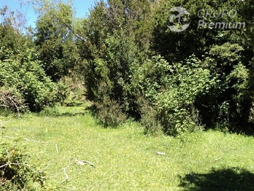 Venta / Terreno / Puyehue
