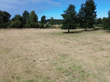 Venta / Terreno / Puyehue